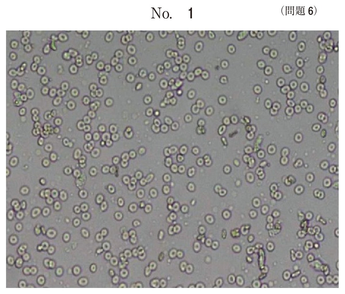 第58回 午後6 の図