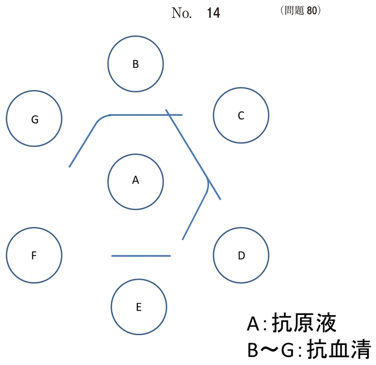第61回 午後80 の図