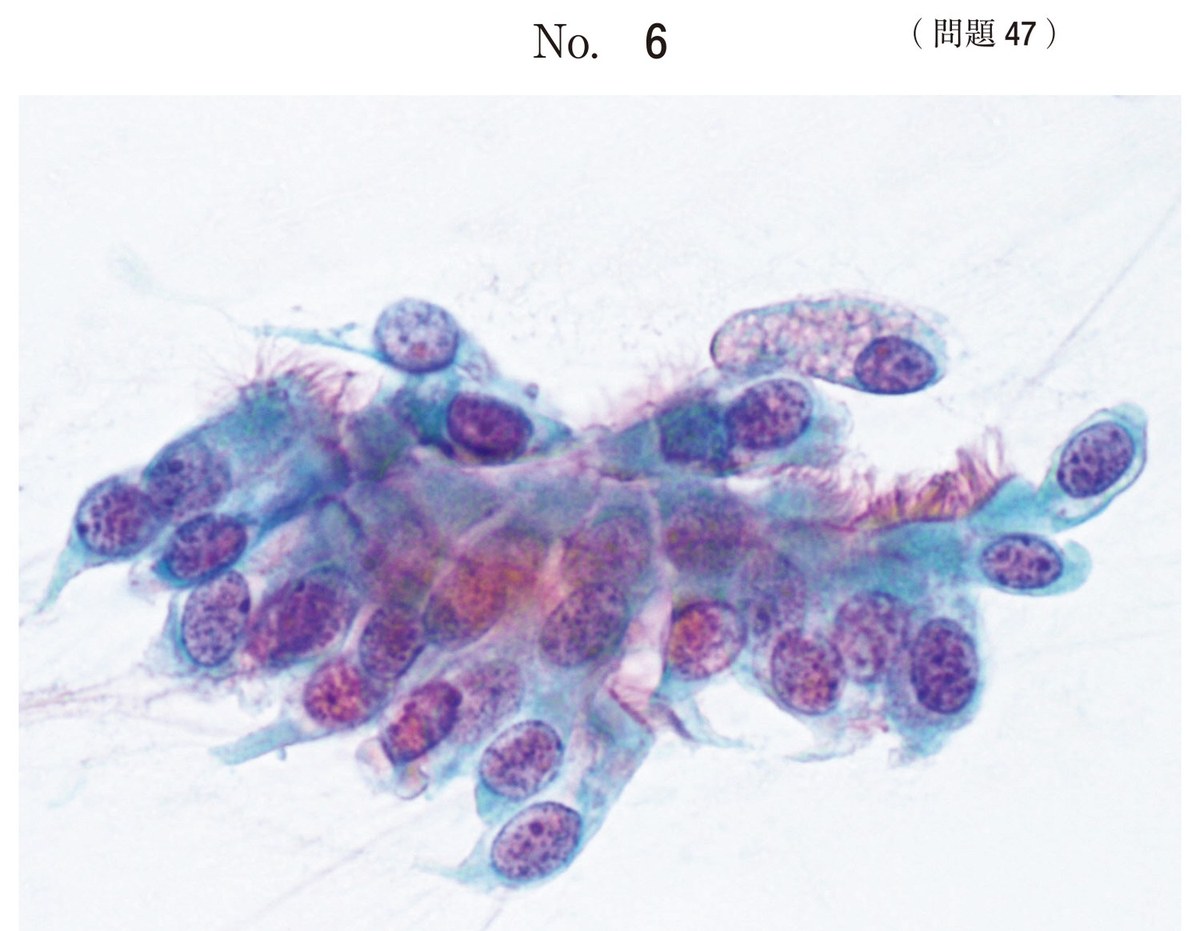 第66回 午後47 の図