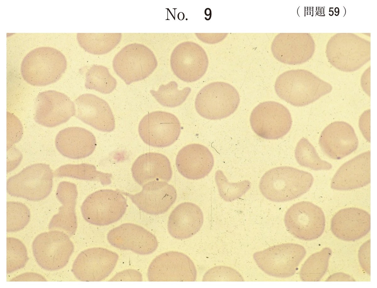 第67回 午後59 の図