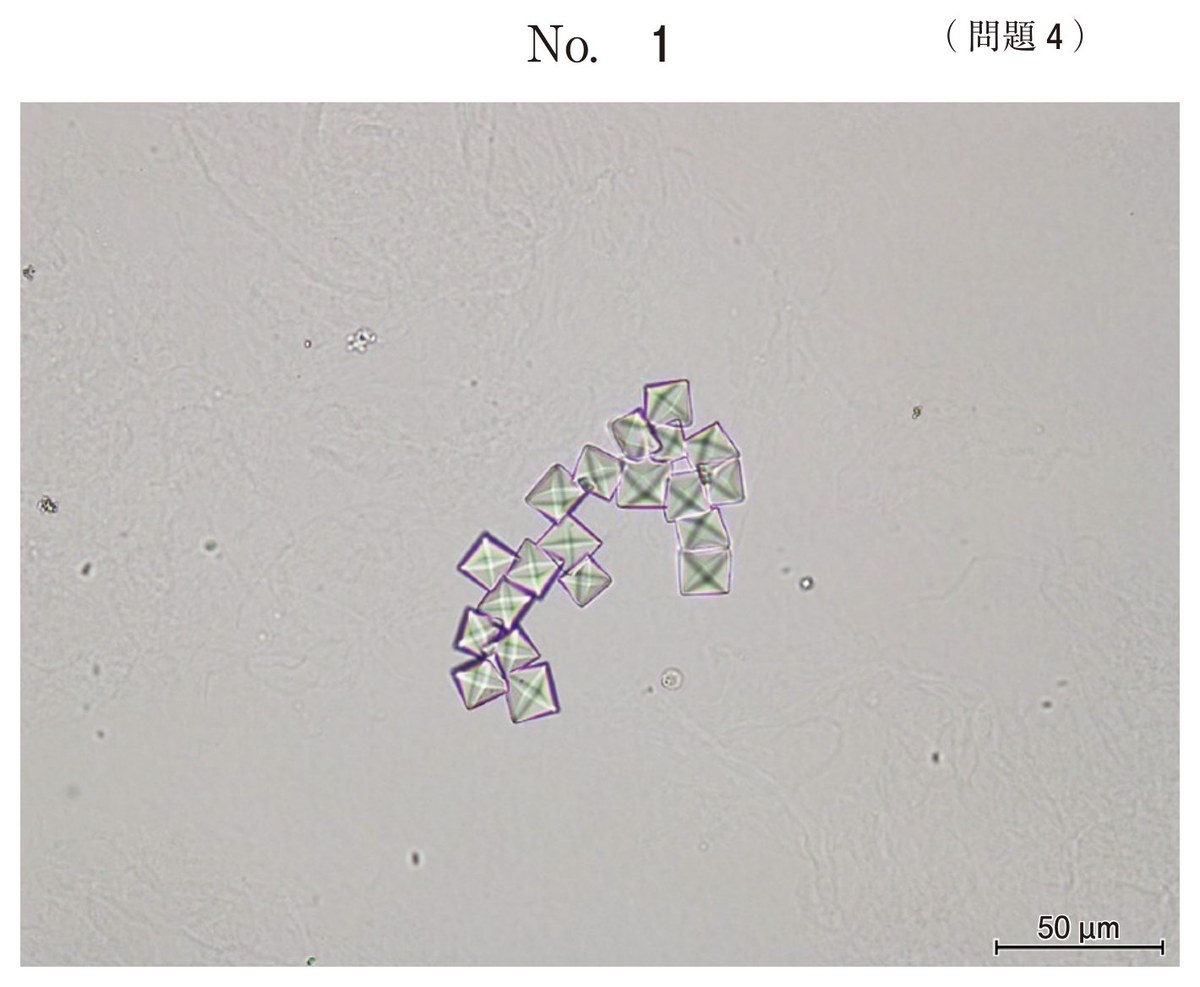 第68回 午前4 の図